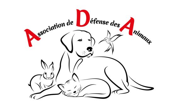 img association ada 5096b9e7